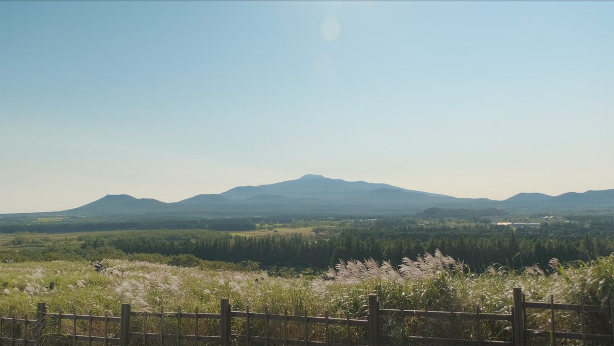 Open countryside on Jeju Island with mountains on the horizon
