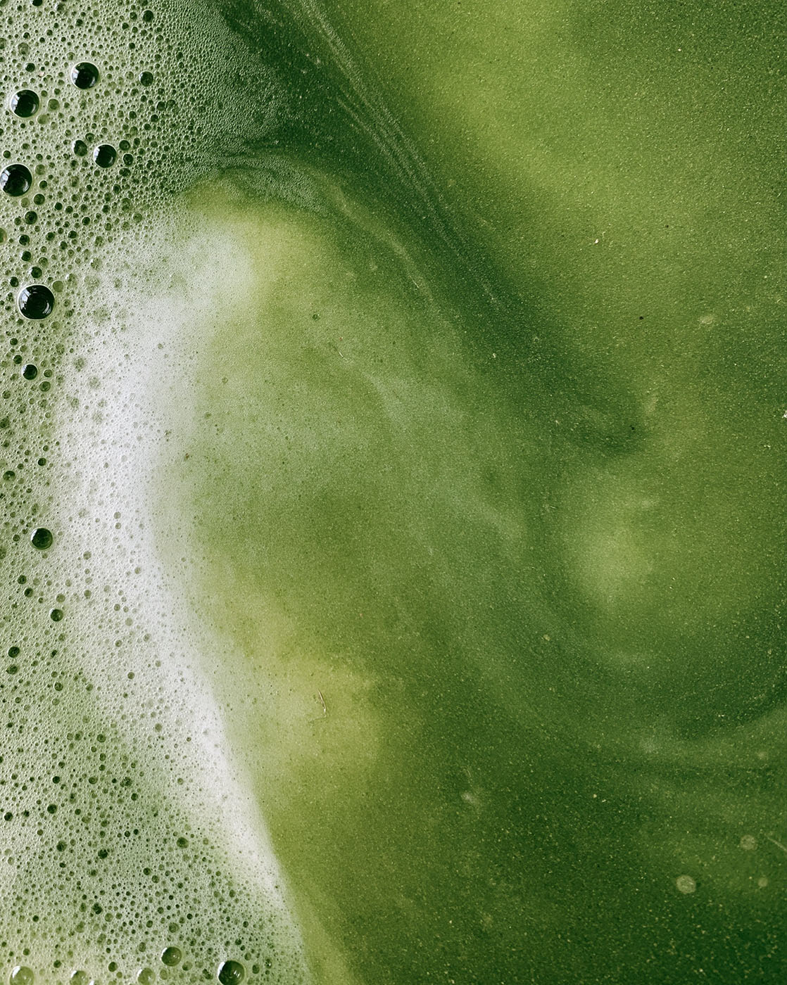 Close-up of whisked matcha foam